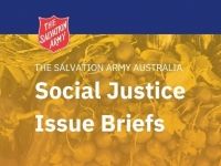Social Justice Issue Briefs